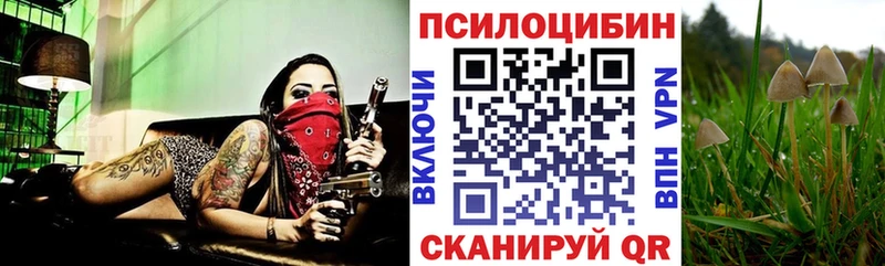 Купить где  Закаменск  Галлюциногенные грибы мухоморы 